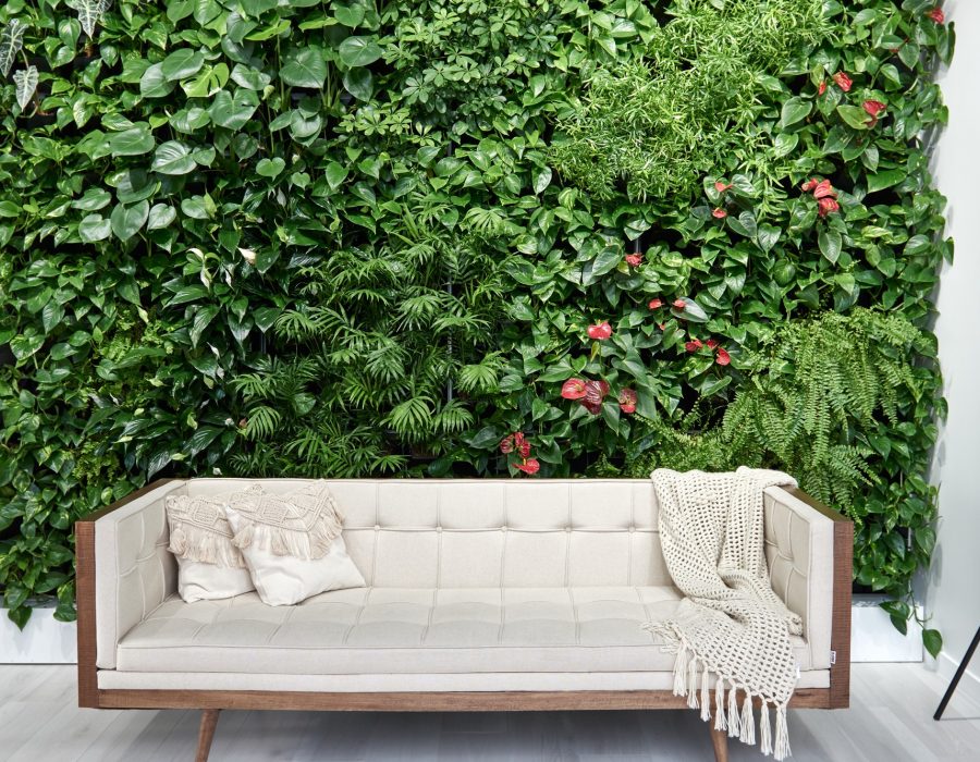 1569